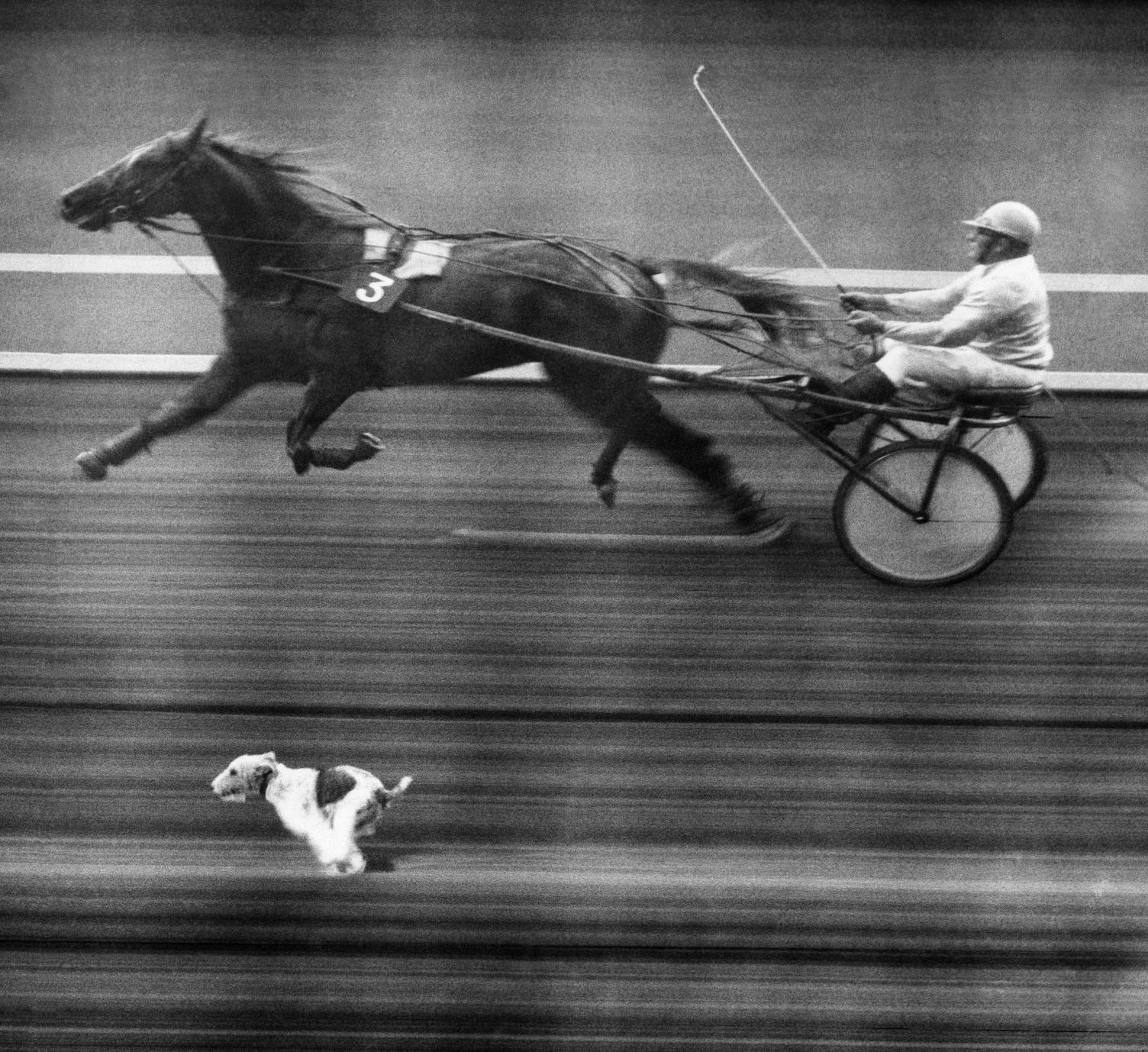 1972: Neck And Neck